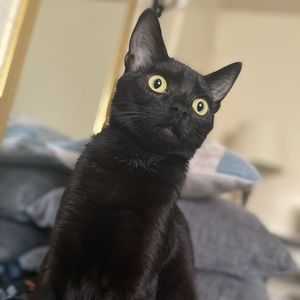 Meet your Posher, Aida